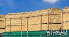 <b>杏耀代理木工机械下半年俄罗斯木材出口可能出</b>