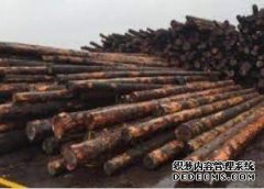 <b>杏耀官网披露：加拿大对美国征收软木木材关税</b>