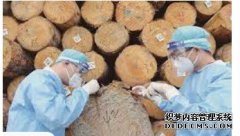 <b>新民洲港已进口杏耀官网披露：木材140多万方</b>