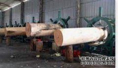 <strong>加蓬吸引中国企杏耀注册业加强木业产能</strong>