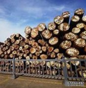 <b>6月中国原杏耀官网木和木材进口额下降</b>