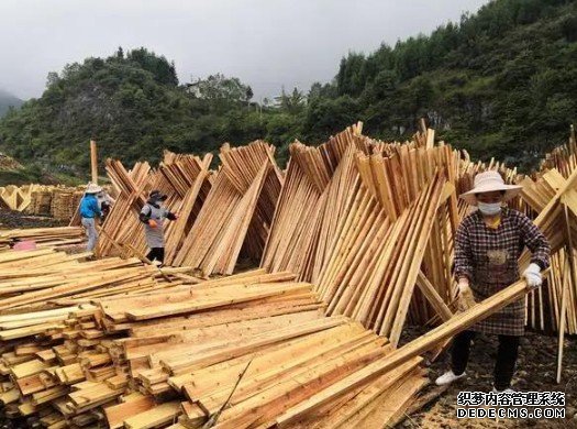 杏耀测速地址,杏耀代理主管