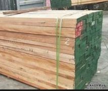 <b>金华首例木材转口贸易杏耀注册试点成功！</b>