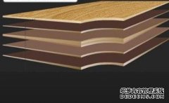 <b>东奥木业年产10万立方杏耀代理米生态板项目通过</b>