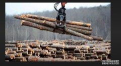 <b>全球工程木材市杏耀注册场不断扩大</b>