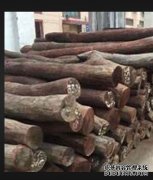 <b>杏耀注册加拿大对美国软木木材关税提出抗议</b>