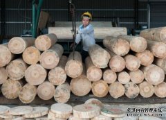 <b>杏耀代理南宁市林业产业发展呈良好态势</b>