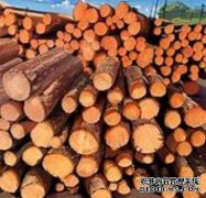 <b>杏耀注册我国林产品进出口贸易额超1800亿美元</b>