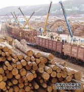 <b>杏耀注册中国原木和木材进口额下降</b>