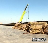 <b>中国林学会理事杏耀官网长调研菏泽木材加工产</b>
