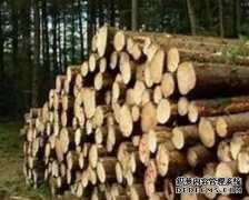<b>广西八步区召开木材经营杏耀官网加工企业整治</b>