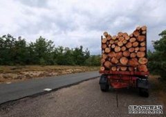 <b>吉尔吉斯斯坦杏耀注册延长木材和木制品出口禁</b>