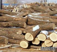 <b>杏耀官网首届临商大会举行木业产业等10场产业对</b>
