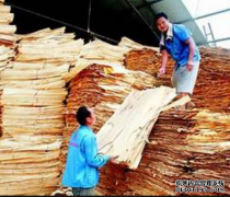 <b>杏耀官网鄄城县阎什镇打造木材加工产业链</b>